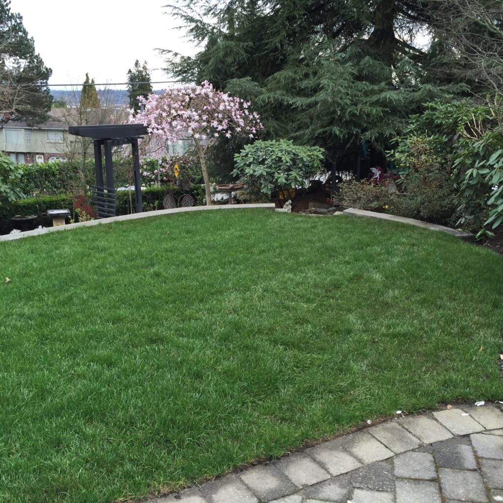 Lawn sizes up to 8000 square feet