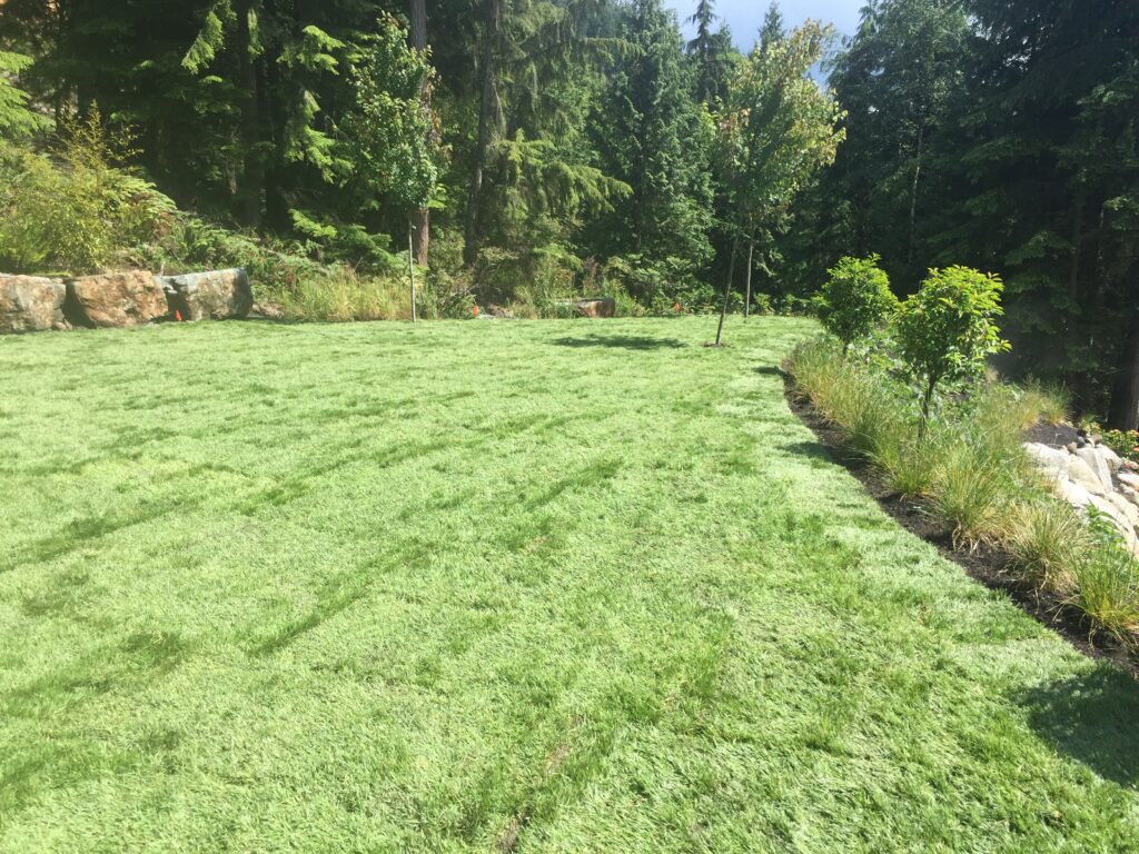 Lawn sizes up to 10000 square feet