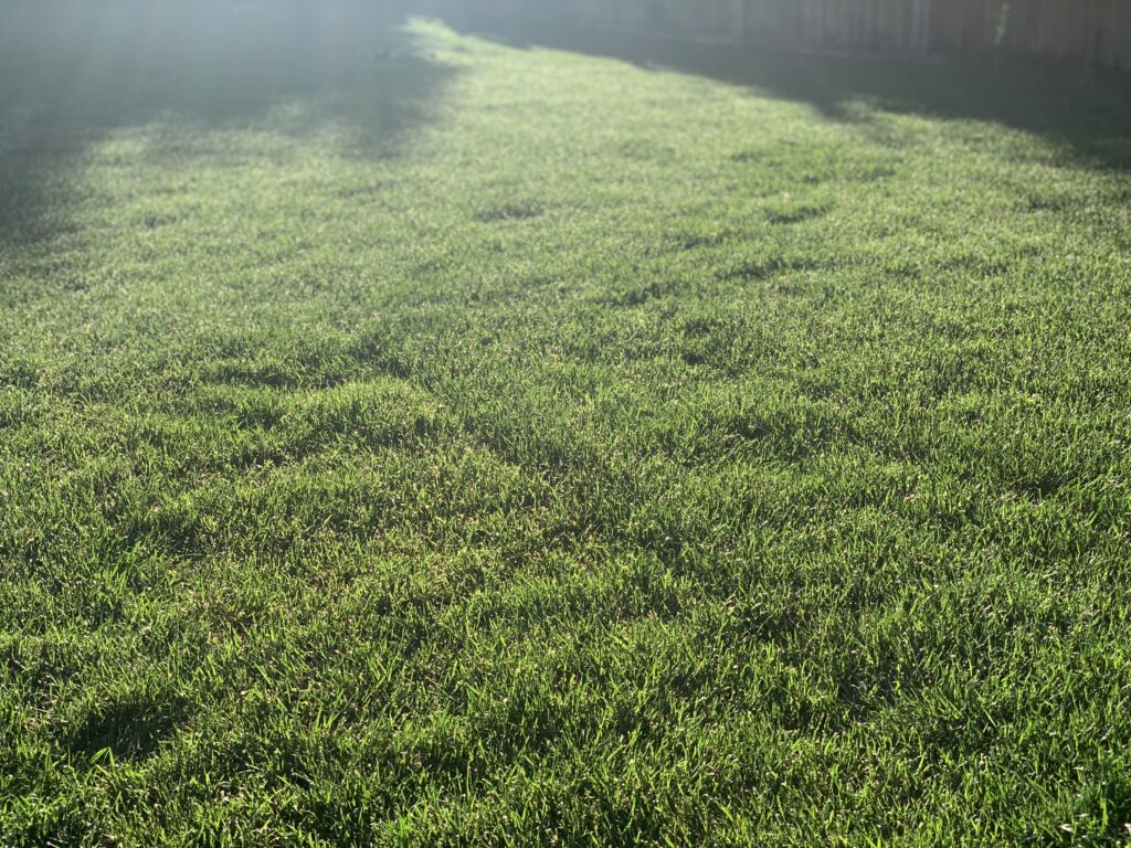 Lawn sizes up to 9000 square feet