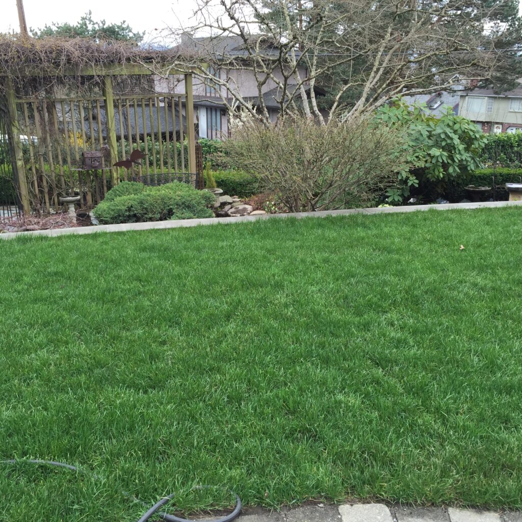 Lawn sizes up to 5000 square feet